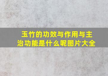 玉竹的功效与作用与主治功能是什么呢图片大全