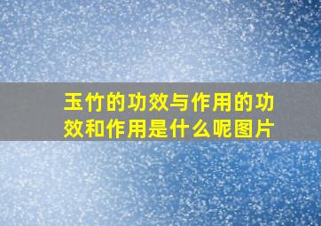 玉竹的功效与作用的功效和作用是什么呢图片