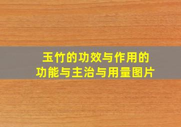 玉竹的功效与作用的功能与主治与用量图片