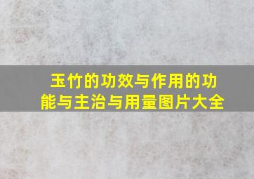 玉竹的功效与作用的功能与主治与用量图片大全