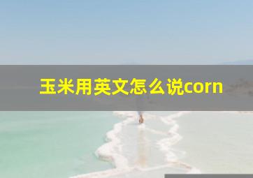 玉米用英文怎么说corn