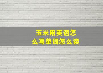 玉米用英语怎么写单词怎么读