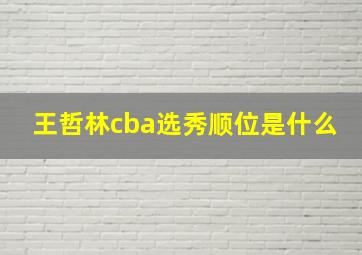 王哲林cba选秀顺位是什么