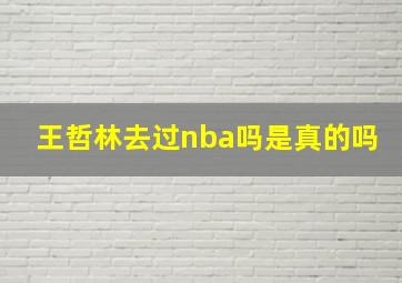 王哲林去过nba吗是真的吗