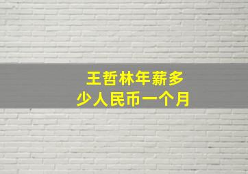 王哲林年薪多少人民币一个月