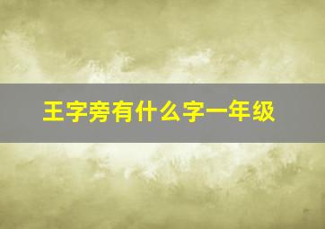 王字旁有什么字一年级