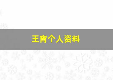 王宵个人资料