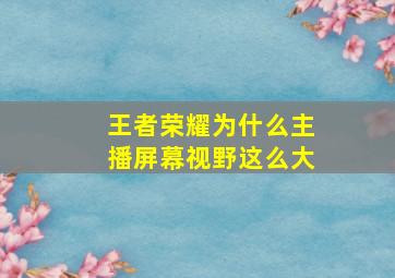 王者荣耀为什么主播屏幕视野这么大