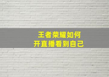 王者荣耀如何开直播看到自己