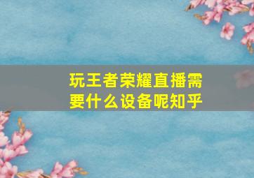 玩王者荣耀直播需要什么设备呢知乎