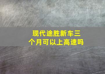 现代途胜新车三个月可以上高速吗