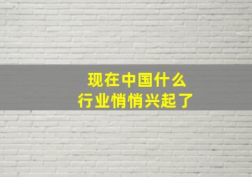 现在中国什么行业悄悄兴起了