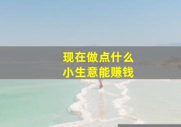 现在做点什么小生意能赚钱