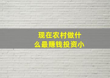 现在农村做什么最赚钱投资小