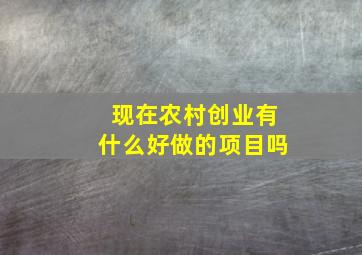 现在农村创业有什么好做的项目吗