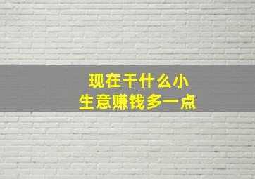 现在干什么小生意赚钱多一点