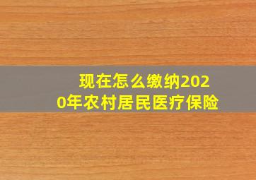 现在怎么缴纳2020年农村居民医疗保险