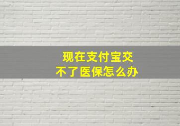 现在支付宝交不了医保怎么办