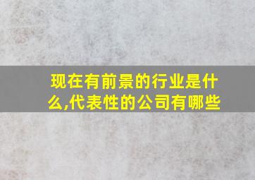 现在有前景的行业是什么,代表性的公司有哪些