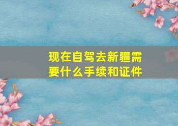 现在自驾去新疆需要什么手续和证件