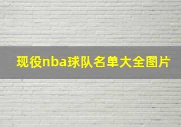 现役nba球队名单大全图片