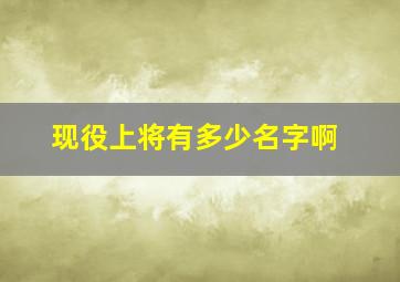 现役上将有多少名字啊