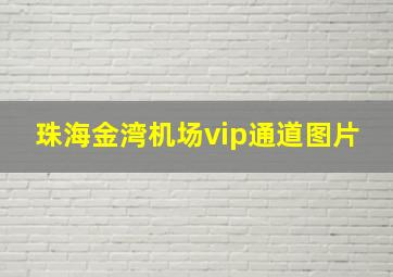 珠海金湾机场vip通道图片