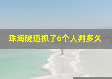 珠海隧道抓了6个人判多久