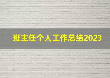 班主任个人工作总结2023