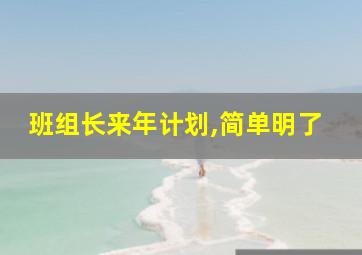 班组长来年计划,简单明了