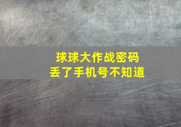 球球大作战密码丢了手机号不知道