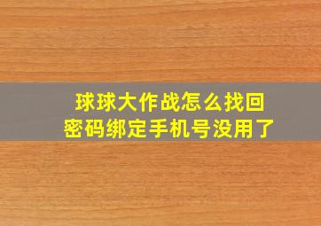 球球大作战怎么找回密码绑定手机号没用了