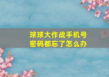 球球大作战手机号密码都忘了怎么办