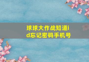 球球大作战知道id忘记密码手机号