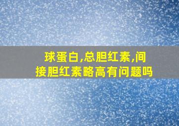 球蛋白,总胆红素,间接胆红素略高有问题吗