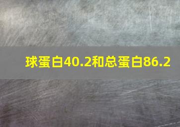 球蛋白40.2和总蛋白86.2