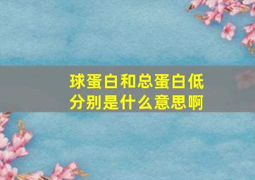 球蛋白和总蛋白低分别是什么意思啊