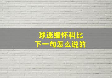 球迷缅怀科比下一句怎么说的