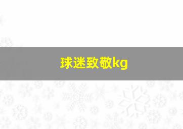 球迷致敬kg