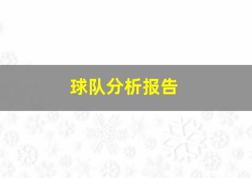 球队分析报告