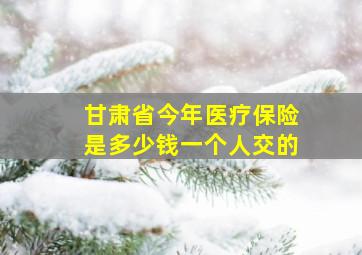 甘肃省今年医疗保险是多少钱一个人交的