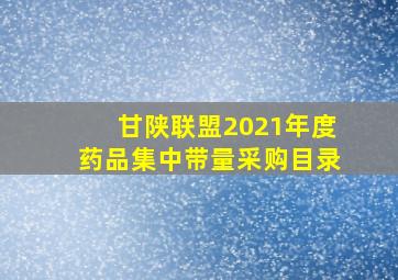 甘陕联盟2021年度药品集中带量采购目录