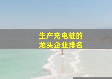 生产充电桩的龙头企业排名