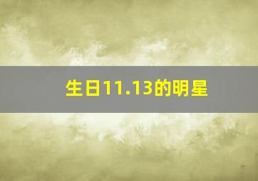 生日11.13的明星