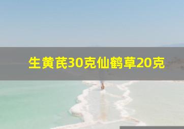 生黄芪30克仙鹤草20克