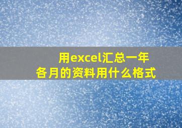 用excel汇总一年各月的资料用什么格式