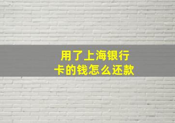 用了上海银行卡的钱怎么还款