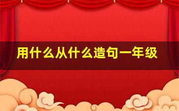 用什么从什么造句一年级