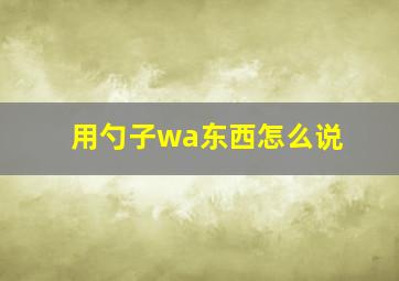 用勺子wa东西怎么说