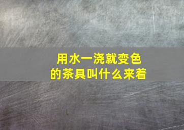 用水一浇就变色的茶具叫什么来着